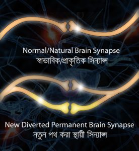 New brain synapse transferring mass data, by nishachor.com