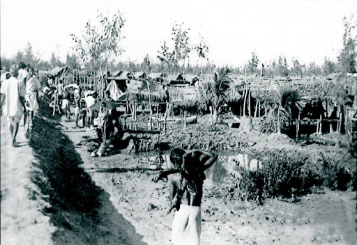 সুন্দরবনে, মরিচঝাঁপি গণহত্যা ১৯৭৯